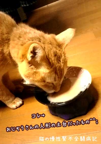 慢性腎不全闘病中の猫の舐める餌
