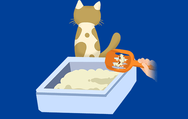 猫のオシッコをとる方法